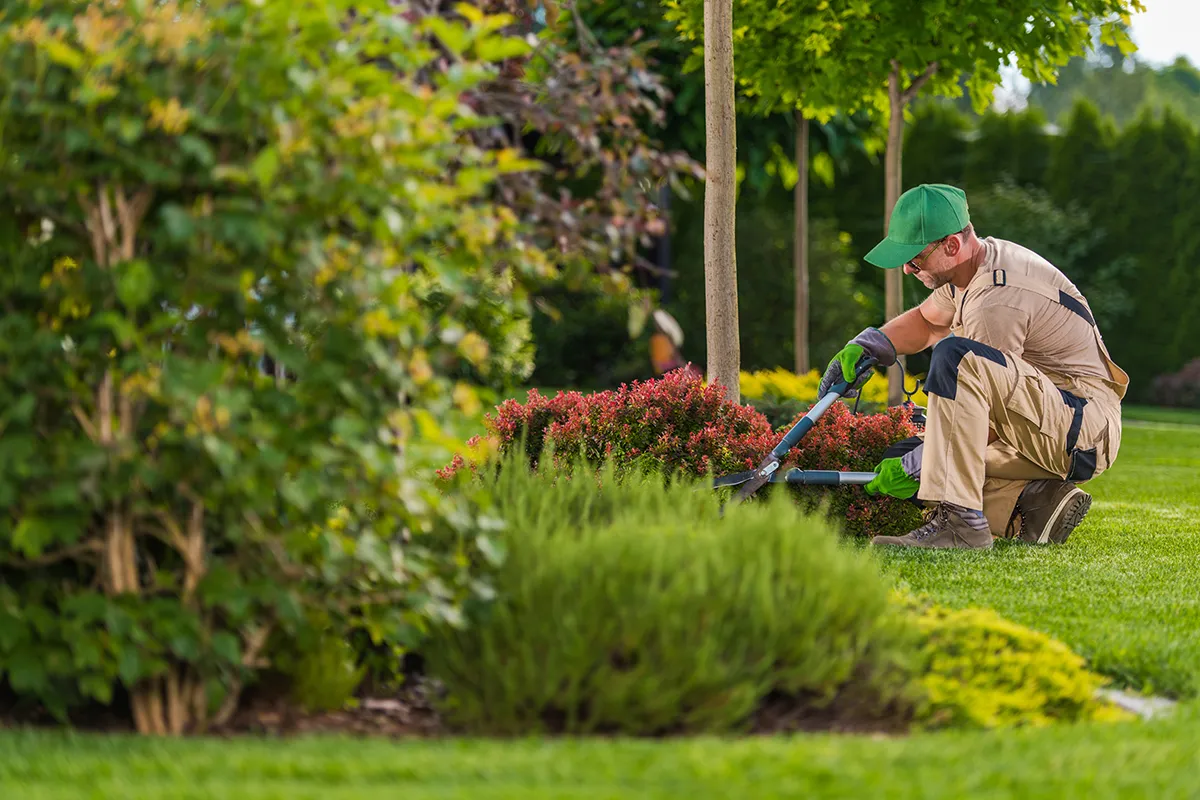 Jardinier en plein travail