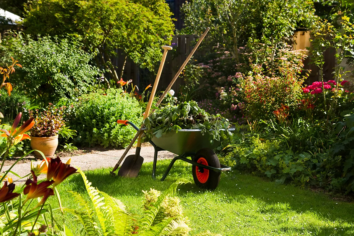 Jardin en cours d'entretien