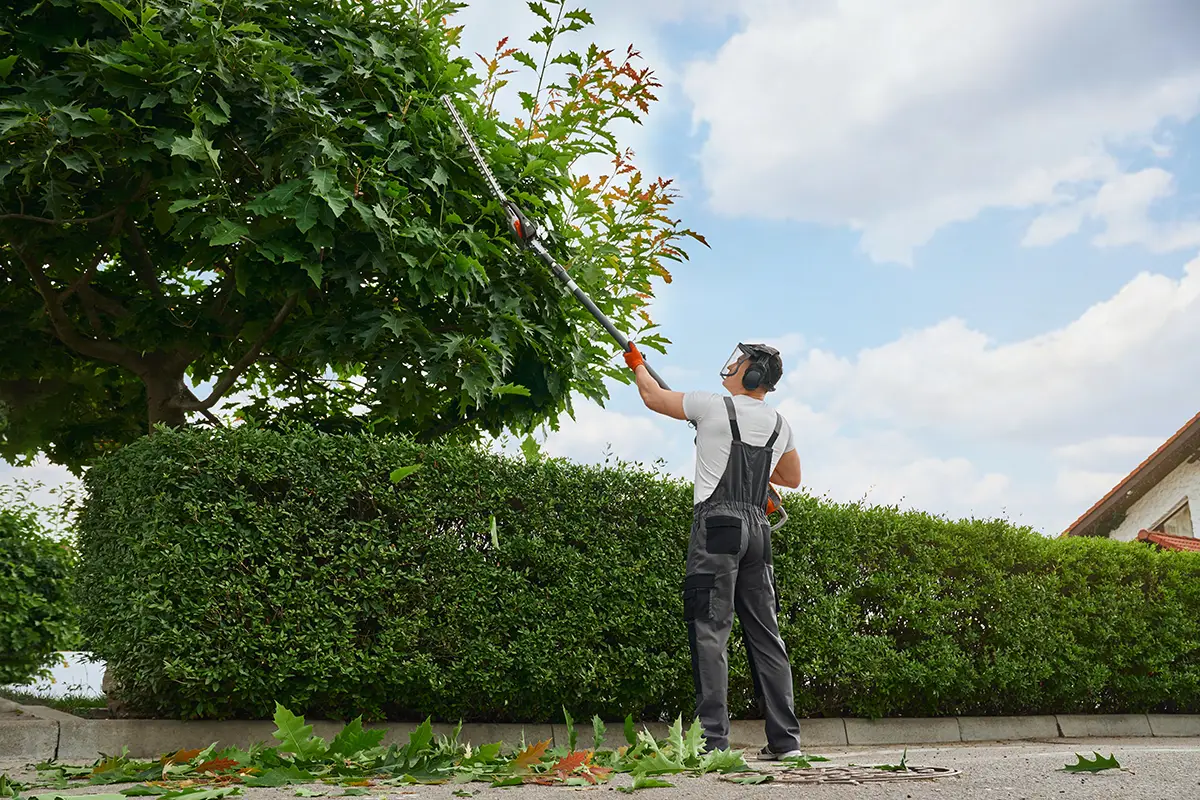 Jardinier entretien un jardin