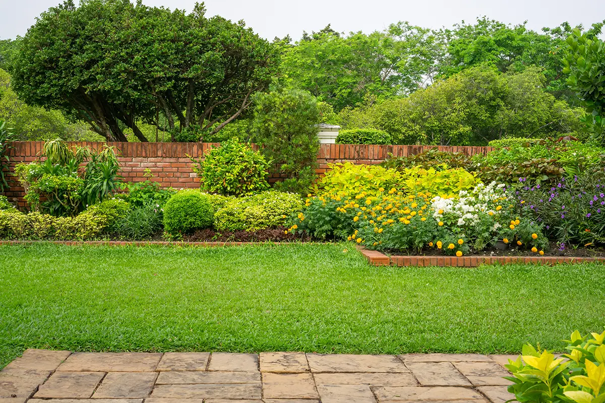 Jardin bien entretenu