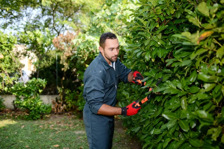 Créer un jardin écologique à La Rochelle : astuces pour un extérieur durable