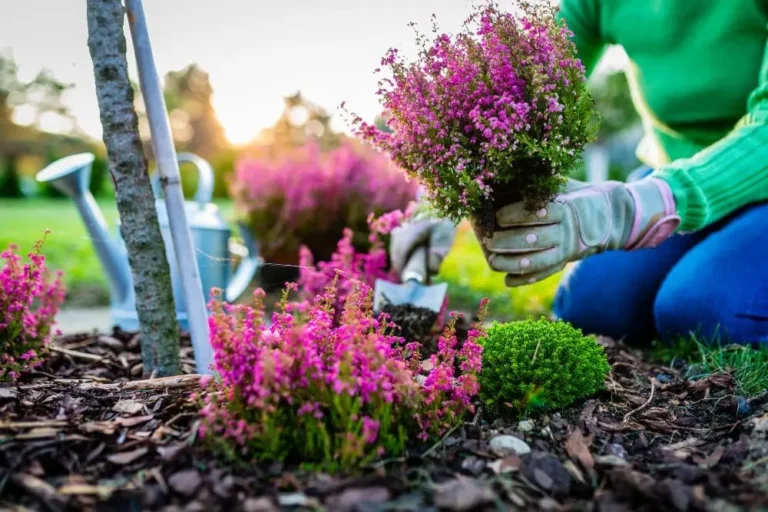 Jardinage saisonnier