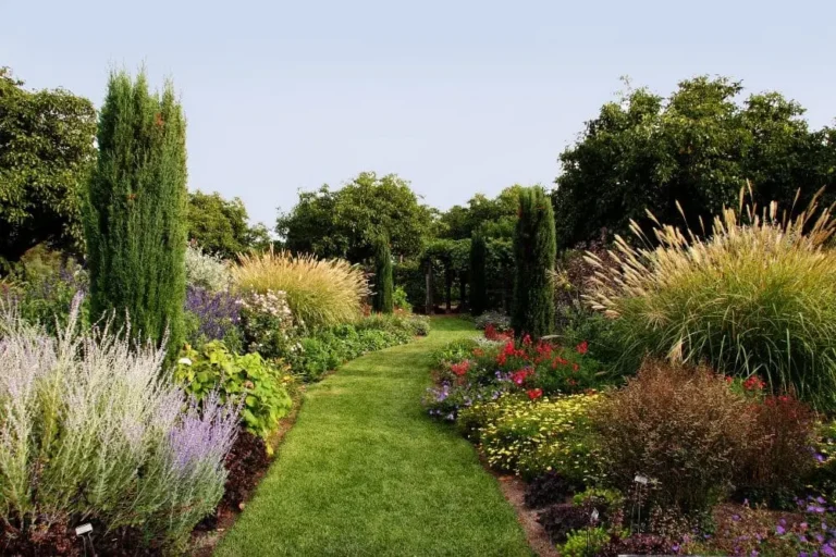 Création de jardin sur-mesure