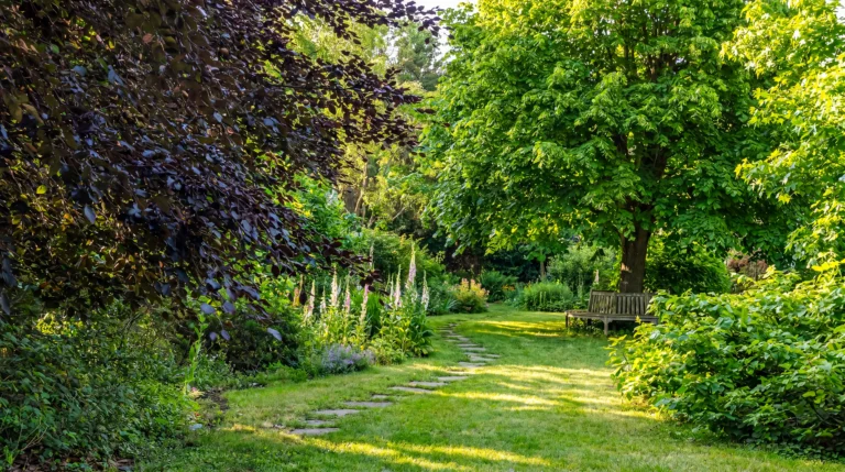 L&rsquo;entretien d&rsquo;espaces verts professionnels à La Rochelle